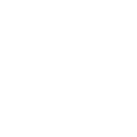 Mega whatsapp logo